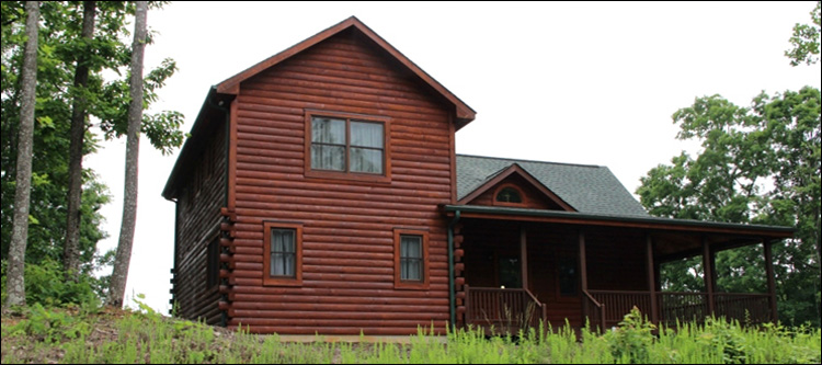 Professional Log Home Borate Application  Warren County, Georgia